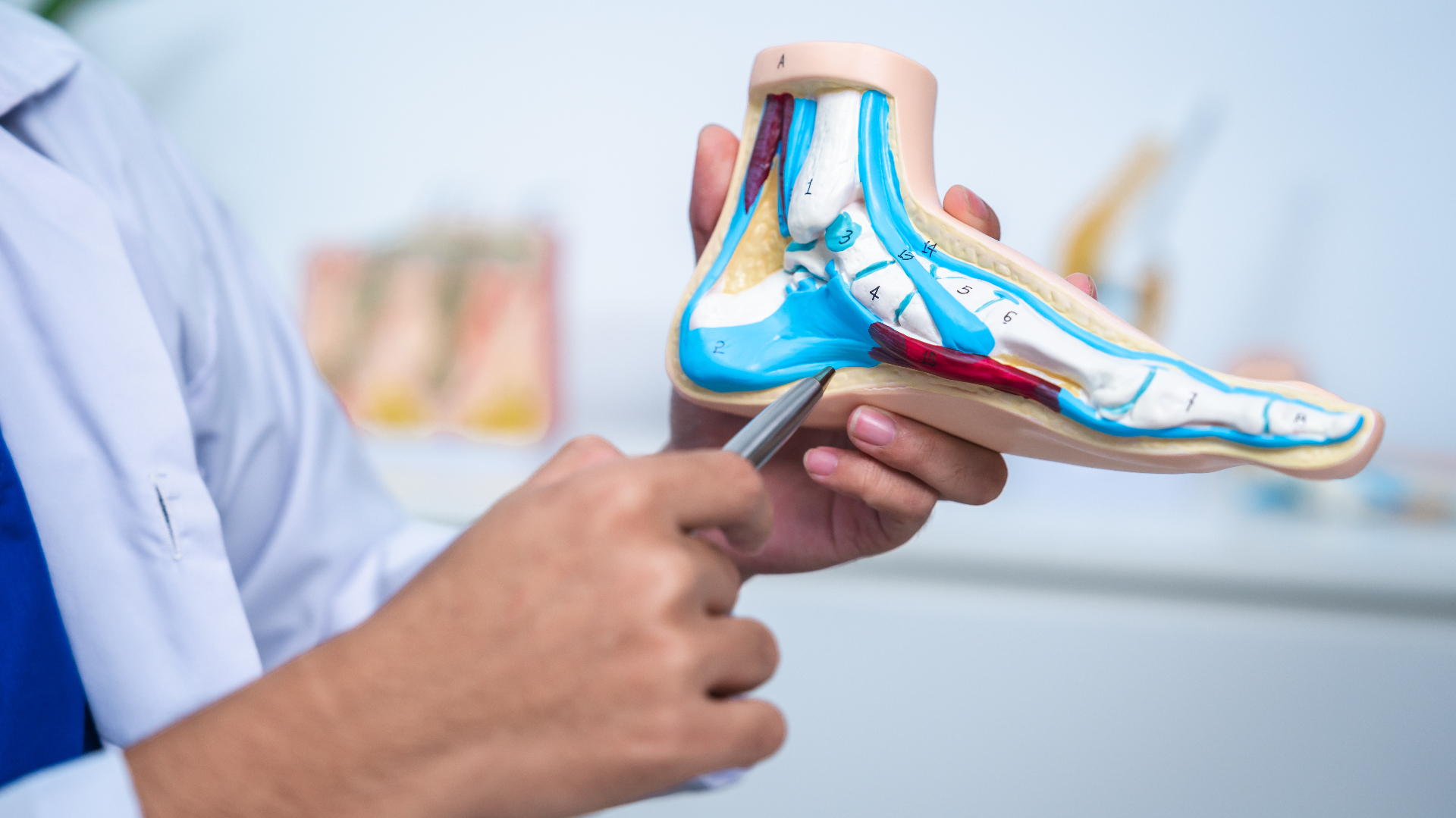 Biomechanical Assessments