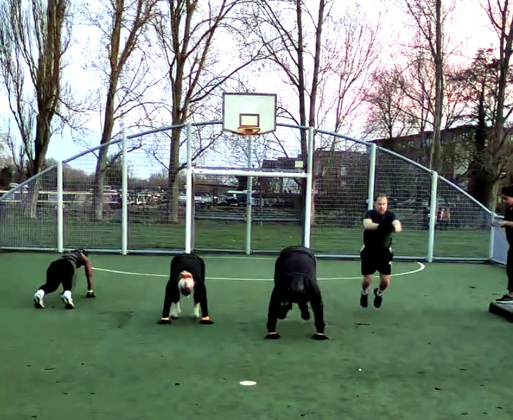 Instinct training session