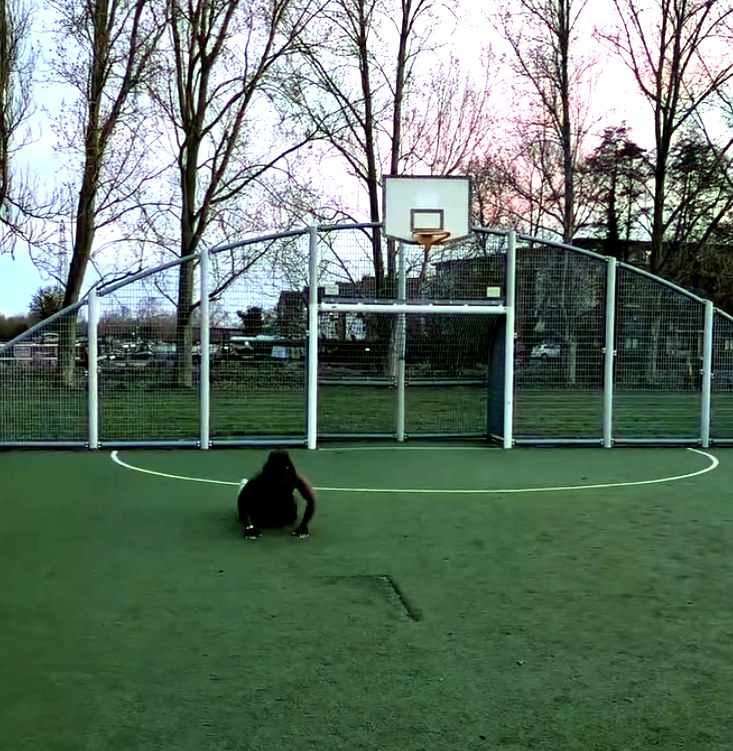 Instinct training session