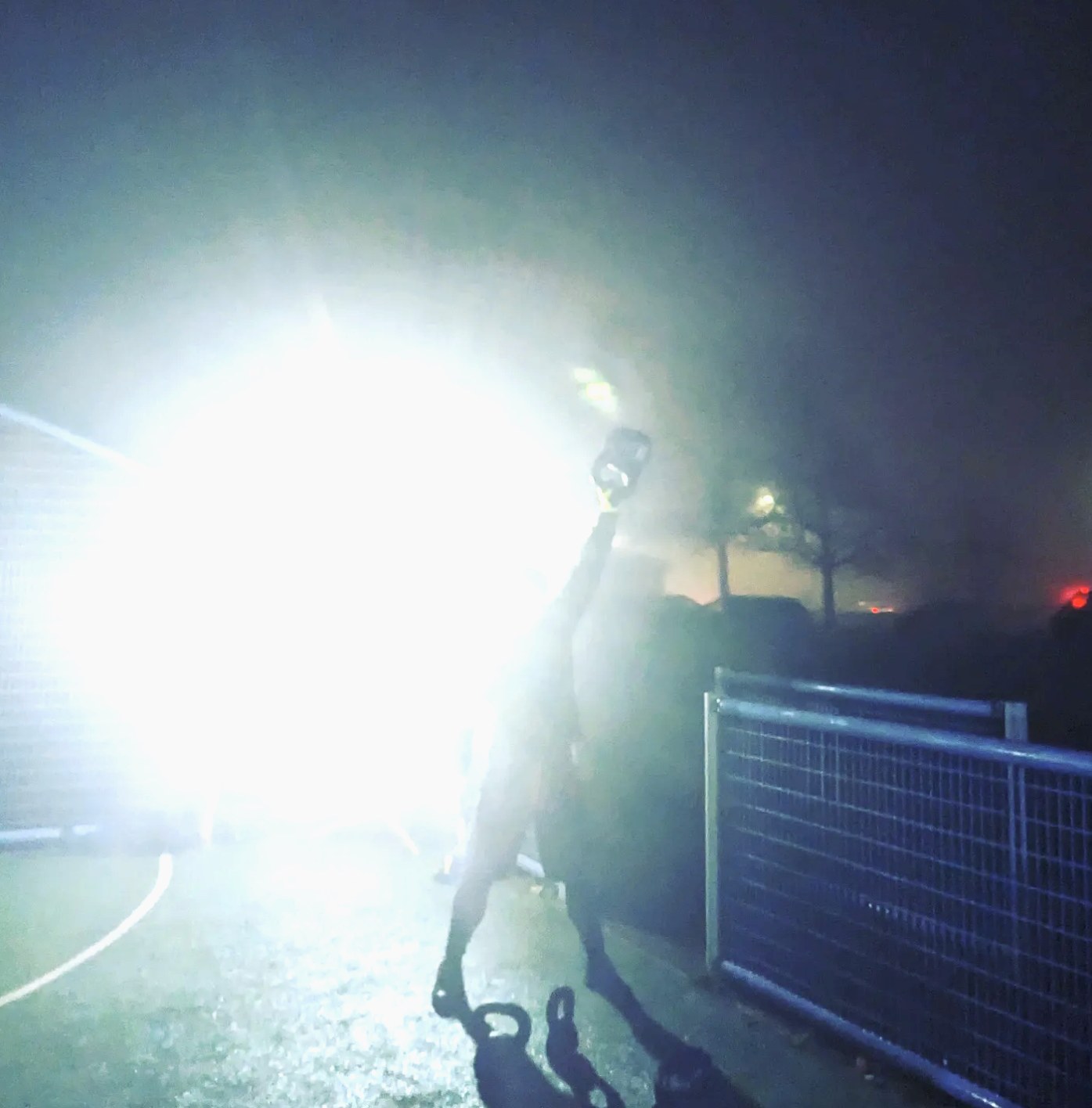 Instinct training session